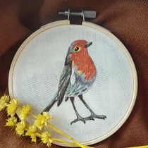Um Pintarroxo Feliz!. Ilustração tradicional, Bordado, e Design têxtil projeto de sarahpeixe - 27.09.2022