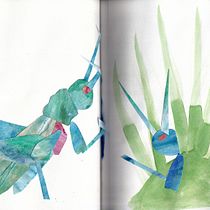 Il mio progetto del corso: Sketching creativo ad acquerello e collage. Traditional illustration, Sketching, Creativit, Drawing, Watercolor Painting, and Sketchbook project by Tosca D'Aprile - 09.28.2022