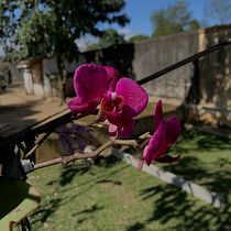 Meu projeto do curso: Fotografia de viagem com celular para iniciantes. Un projet de Photographie smartphone, Photographie extérieure , et Photographie pour Instagram de victoriadeassispirescabral - 29.09.2022