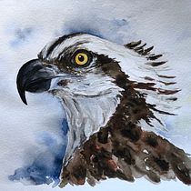 My project for course: Artistic Watercolor Techniques for Illustrating Birds. Watercolor Painting project by Lolo Frei - 09.28.2022