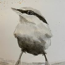 Meu projeto do curso: Técnicas expressivas de aquarela para ilustração de pássaros. Traditional illustration, Watercolor Painting, Realistic Drawing, and Naturalistic Illustration project by Jessica Strassburger - 09.30.2022