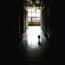 Il mio progetto del corso: Palestra di scrittura: dal foglio bianco alla pratica quotidiana Ein Projekt aus dem Bereich Schrift, Kreativität, Stor, telling, Erzählung und Kreatives Schreiben von Valeria Gobbi - 30.09.2022