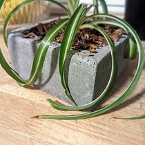 Small Planter for course: Concrete Furniture Creation for Beginners. Een project van Craft, Meubelontwerp en -bouw, Interieurontwerp,  Interieur y DIY van kyasharobinson91 - 31.08.2022