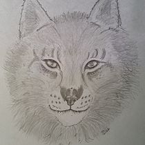 My project for course: Naturalistic Animal Drawing with Graphite Pencil. Traditional illustration, Pencil Drawing, Drawing, and Naturalistic Illustration project by Janis Dolan - 09.30.2022