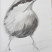 My project for course: Artistic Watercolor Techniques for Illustrating Birds. Traditional illustration, Watercolor Painting, Realistic Drawing, and Naturalistic Illustration project by Dawn Stevens - 10.22.2022