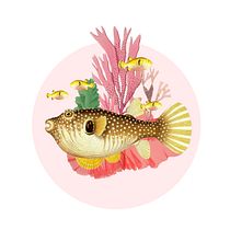 My project for course: Paper Collage Murals: Create Nature-Inspired Wall Art. Arts, Crafts, Collage, Paper Craft, Decoration, and Botanical Illustration project by sooyeong - 10.02.2022