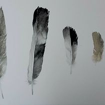 Il mio progetto del corso: Illustrazione naturalistica: acquerello in positivo e negativo. Traditional illustration, Fine Arts, Painting, Drawing, Watercolor Painting, Botanical Illustration, and Naturalistic Illustration project by La Immer - 10.02.2022