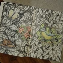 Mein Abschlussprojekt für den Kurs: Kreatives Porträt in Chiaroscuro mit Bleistift. Un projet de Illustration traditionnelle, Dessin au cra, on, Dessin de portrait, Dessin artistique, Dessin aux cra , et ons de couleur de s_ende - 01.10.2022