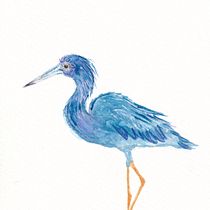 Mijn project van de cursus: Naturalistische vogels illustreren met aquarel. Ilustração tradicional, Pintura em aquarela, Desenho realista e Ilustração naturalista projeto de madewitheer - 03.10.2022
