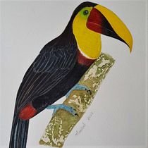 Mi proyecto del curso: Ilustración naturalista de aves con acuarela. Ilustração tradicional, Pintura em aquarela, Desenho realista e Ilustração naturalista projeto de Maribel de la Torre - 03.10.2022