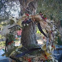 Mi proyecto del curso: Creación de coronas con flores secas. Un progetto di Design, Interior design, Paesaggismo, DIY, Design floreale e vegetale e Textile Design di Marta Fabrellas Carreras - 03.10.2022