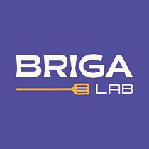 Briga Lab - Identidade Visual. Un progetto di Direzione artistica, Br, ing, Br, identit e Graphic design di Daniel Araujo - 04.10.2022