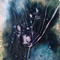 Il mio progetto del corso: Cianotipia: tecnica di stampa con la luce. Un projet de Artisanat, Beaux Arts, Estampe, DIY , et Photographie argentique de Bonini Emanuela - 04.10.2022