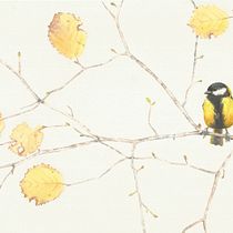 Il mio progetto del corso: Illustrazione naturalistica: acquerello in positivo e negativo. Traditional illustration, Fine Arts, Painting, Drawing, Watercolor Painting, Botanical Illustration, and Naturalistic Illustration project by Federica Usai - 10.05.2022