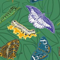 PATTERN BUTTERFLIES AND CATERPILLARS Ein Projekt aus dem Bereich Traditionelle Illustration, Design von Garderoben, Musterdesign, Modedesign und Digitale Illustration von Elena Di Giovinazzo - 05.10.2022