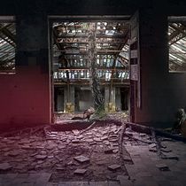 Meu projeto do curso: Segredos da fotomontagem e do retoque criativo. Fotografia, Pós-produção fotográfica, VFX, Retoque fotográfico, Fotografia artística, Composição fotográfica, e Fotomontagem projeto de eduardo_monteiro_1 - 30.09.2022