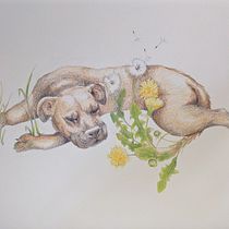 My project for course: Surrealist Illustration Inspired by Nature Ein Projekt aus dem Bereich Traditionelle Illustration, Bleistiftzeichnung, Zeichnung, Artistische Zeichnung, Naturalistische Illustration und Zeichnen mit Buntstiften von Robyn Hampson - 06.10.2022