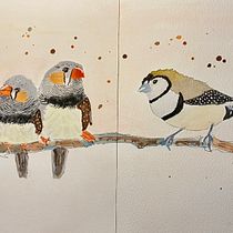 My project for course: Artistic Watercolor Techniques for Illustrating Birds. Traditional illustration, Watercolor Painting, Realistic Drawing, and Naturalistic Illustration project by Caroline Chung-Wipff - 10.06.2022