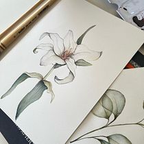 Meu projeto do curso: Desenho e composição naturalista em aquarela. Traditional illustration, Drawing, Watercolor Painting, and Naturalistic Illustration project by anamorse - 10.07.2022