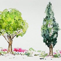 My project for course: Botanical Watercolor Sketchbook. Projekt z dziedziny Trad, c, jna ilustracja, Malowanie akwarelą, R, sunek botaniczn i Sketchbook użytkownika Elena Oguchi - 08.10.2022