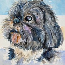 Mon projet du cours : Portraits expressifs d'animaux à l'aquarelle . % Victoria Alicia PHELTS Ramos tarafından hazırlanan Sulubo, a Resim, Geleneksel illüstras, on, Gerçekçi Çizim, Doğalcı İllüstras, Ve on projesi - 10.09.2022