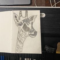 My project for course: Naturalistic Animal Drawing with Graphite Pencil. Traditional illustration, Pencil Drawing, Drawing, and Naturalistic Illustration project by Naresh Newar - 10.09.2022