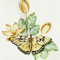 Meu projeto do curso: Desenho e composição naturalista em aquarela. Traditional illustration, Drawing, Watercolor Painting, and Naturalistic Illustration project by Stella Valim - 10.09.2022
