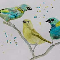 Meu projeto do curso: Técnicas expressivas de aquarela para ilustração de pássaros. Traditional illustration, Watercolor Painting, Realistic Drawing, and Naturalistic Illustration project by Fábio Rodrigues Nery - 10.10.2022