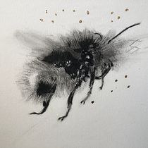 My project for course: Illustrating the Natural World with Watercolor and Charcoal. Traditional illustration, Painting, and Naturalistic Illustration project by Patricia Hillis - 10.08.2022