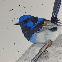 Some Birds that I've painted since learning from Sarah. Traditional illustration, Watercolor Painting, Realistic Drawing, and Naturalistic Illustration project by Megan Gettens - 10.11.2022