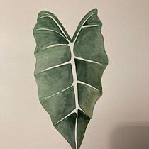 My project for course: Botanical Watercolor for Patterns. Un projet de Illustration traditionnelle, Création de motifs, Aquarelle et Illustration botanique de kvanzweeden - 11.10.2022