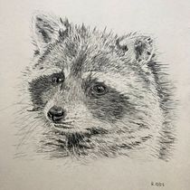 Mein Abschlussprojekt für den Kurs: Realistische Tierporträts mit Bleistift. Traditional illustration, Pencil Drawing, Drawing, and Naturalistic Illustration project by henrikeboedler - 10.12.2022