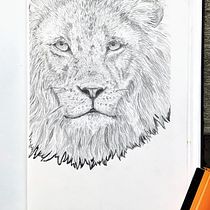 My project for course: Naturalistic Animal Drawing with Graphite Pencil. Traditional illustration, Pencil Drawing, Drawing, and Naturalistic Illustration project by ute.oberreiter - 10.12.2022