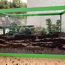 Mi terrario de cactus y suculentas . Interior Design, L, scape Architecture, Decoration, DIY, Floral, and Plant Design project by Virginia Marsiu - 10.12.2022