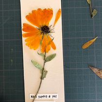 Meu projeto do curso: Técnicas básicas para prensar flores e plantas =>  Marca-Paginas. Un progetto di Artigianato, Belle arti, Collage, DIY e Design floreale e vegetale di tania_machado33 - 13.10.2022