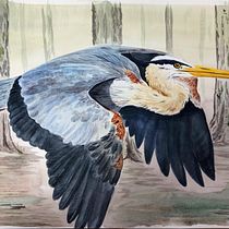 My project for course: Naturalist Bird Illustration with Watercolors. Ilustração tradicional, Pintura em aquarela, Desenho realista e Ilustração naturalista projeto de kchandlerillustrations - 14.10.2022
