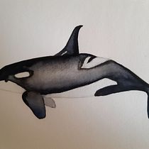 Il mio progetto del corso: Tecniche di illustrazione naturalistica: balene ad acquerello. Un progetto di Illustrazione tradizionale, Design di poster , Illustrazione digitale e Manga di Assunta Maria - 14.10.2022