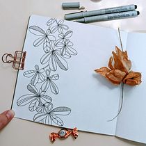 My project for course: Floral Drawings to Illustrate your Bullet Journal. Un proyecto de Lettering, Dibujo, Ilustración botánica, H, lettering, Gestión y productividad							 de Valentina Chernaya - 15.10.2022
