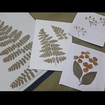 My project for course: Basic Botanical Pressing Techniques. Un progetto di Artigianato, Belle arti, Collage, DIY e Design floreale e vegetale di Connie So - 13.10.2022