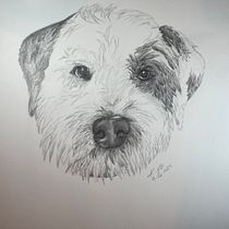 My project for course: Naturalistic Animal Drawing with Graphite Pencil. Traditional illustration, Pencil Drawing, Drawing, and Naturalistic Illustration project by kkiker1 - 09.26.2022
