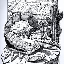 Meu projeto do curso: Ilustração com tinta e bico de pena: registre o mundo natural Ein Projekt aus dem Bereich Skizzenentwurf, Zeichnung, Artistische Zeichnung, Sketchbook, Illustration mit Tinte und Naturalistische Illustration von Well Gama - 16.10.2022