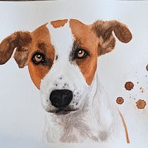 Mon projet du cours : Portraits expressifs d'animaux à l'aquarelle . % Mélissa Côté tarafından hazırlanan Geleneksel illüstras, on, Sulubo, a Resim, Gerçekçi Çizim, Doğalcı İllüstras, Ve on projesi - 10.11.2022