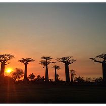 Mi proyecto del curso: Fotografía de viajes con smartphone para principiantes: Madagascar. Un projet de Photographie smartphone, Photographie extérieure , et Photographie pour Instagram de Jaime Pérdigo Corbella - 17.10.2022