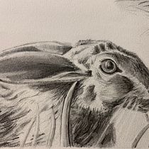 My project for course: Naturalistic Animal Drawing with Graphite Pencil. Ilustração tradicional, Desenho a lápis, Desenho e Ilustração naturalista projeto de Lemaitre Christine - 18.10.2022