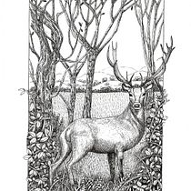 Mon projet du cours : Illustration à l'encre et à la plume : représentez le monde naturel Ein Projekt aus dem Bereich Skizzenentwurf, Zeichnung, Artistische Zeichnung, Sketchbook, Illustration mit Tinte und Naturalistische Illustration von Amena Nathan - 19.10.2022