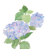 Mein Abschlussprojekt für den Kurs: Schöpfung von Farbpaletten mit Aquarell. Un progetto di Illustrazione tradizionale, Belle arti, Pittura, Pittura ad acquerello e Teoria del colore di rubina-kreativ - 20.10.2022
