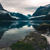 Mi proyecto del curso: Fundamentos y técnicas de fotografía moderna de naturaleza. Un projet de Photographie, Postproduction photographique, Réseaux sociaux, Photographie numérique, Photographie extérieure , et Composition photographique de Chiara Grandi - 21.10.2022