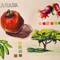 Mi proyecto del curso: Cuaderno botánico en acuarela. Projekt z dziedziny Malowanie akwarelą, R i sunek botaniczn użytkownika Mercè Ramon - 21.10.2022