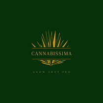 Cannavissima Ein Projekt aus dem Bereich Br, ing und Identität, Social Media, Mobile Marketing, Instagram, Kommunikation, Marketing für Instagram und Werbung von Luz Polchlopek - 30.11.2022