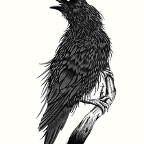 Mi proyecto del curso: Técnicas de tatuaje blackwork con línea fina. Tattoo Design project by edreiedrei - 10.12.2022